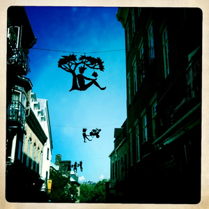 Hip 335557283.612571