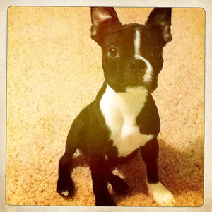 Hip 335579266.409808