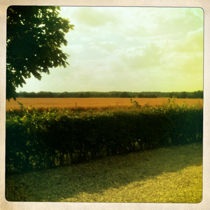 Hip 335544096.322661