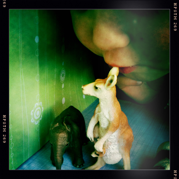 Hip 335581113.900755