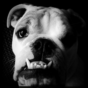 Hip 324578892.266430