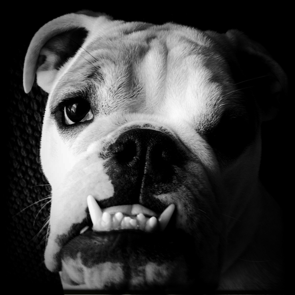 Hip 324578892.266430