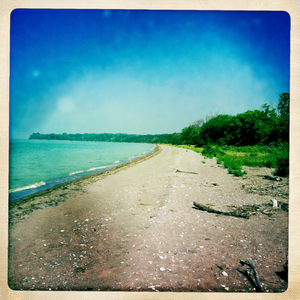 Hip 335463231.984804