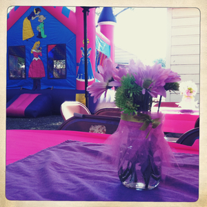 Hip 334336362.023290