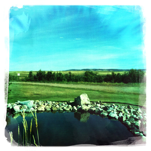 Hip 335572389.381490