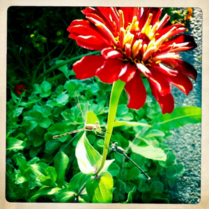 Hip 335578815.043766