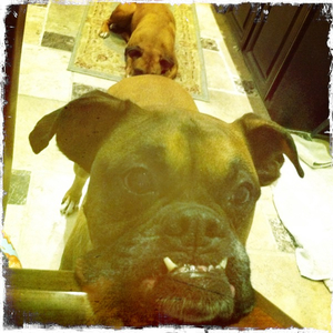 Hip 335498219.554868