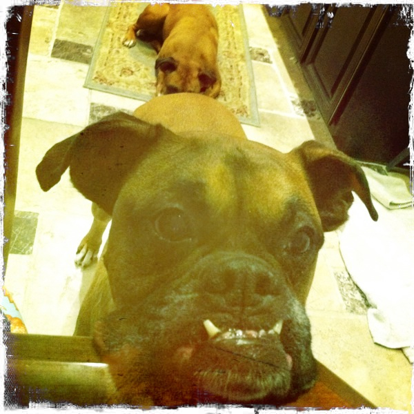 Hip 335498219.554868