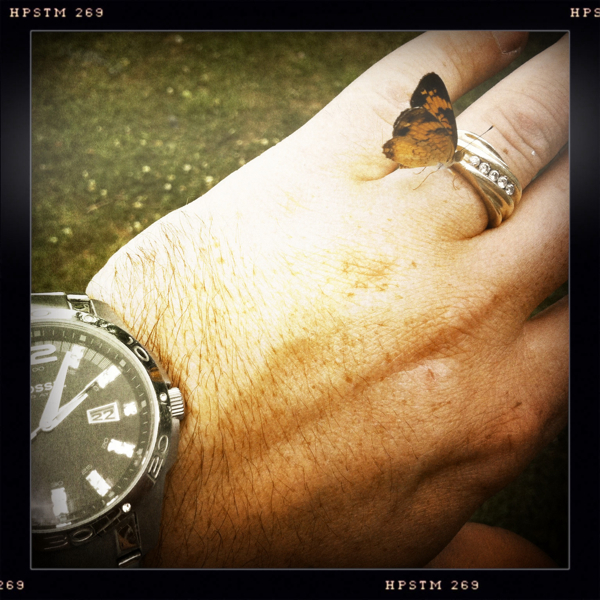 Hip 333050785.717780