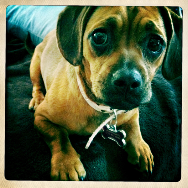 Hip 335486219.592345