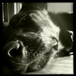 Hip 335397076.448344