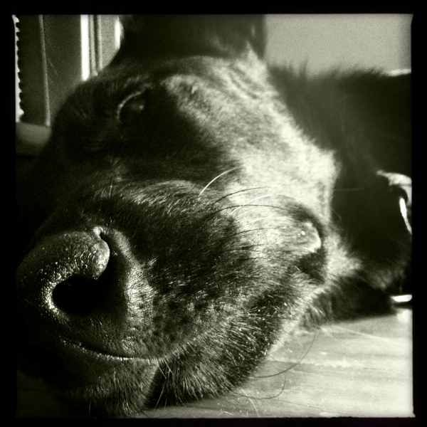 Hip 335397076.448344