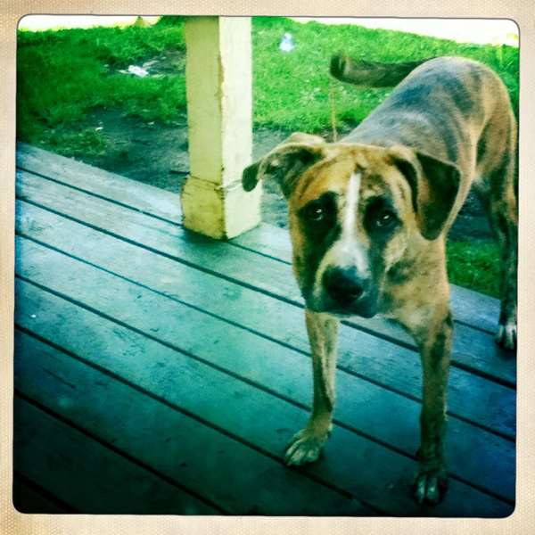 Hip 335541888.238365