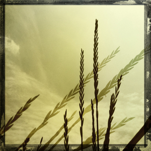 Hip 329502788.484317