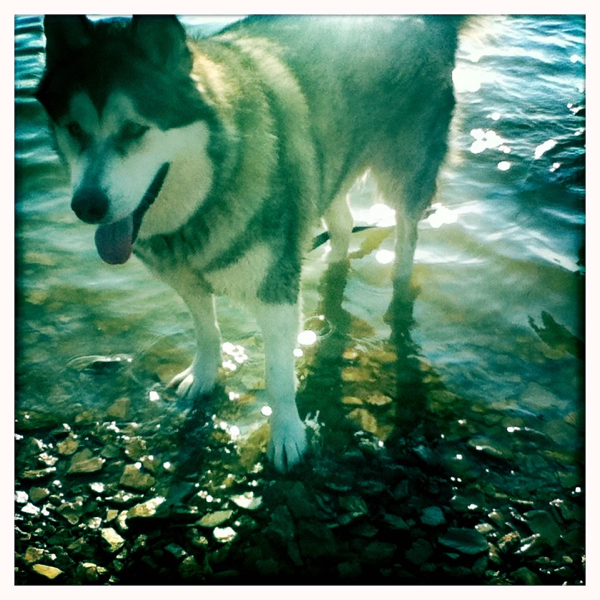 Hip 335570903.403027