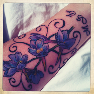 Hip 335588036.101634