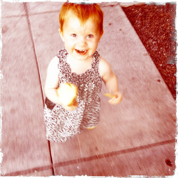 Hip 335587456.788681