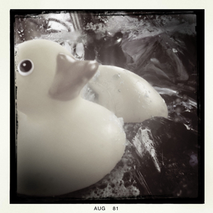 Hip 335570420.560107