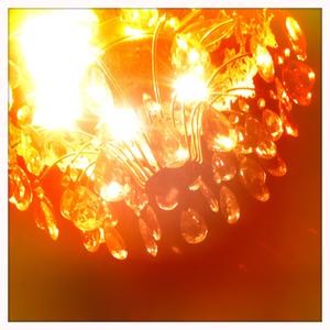 Hip 335039782.750392