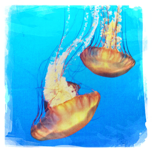 Hip 335567793.898304