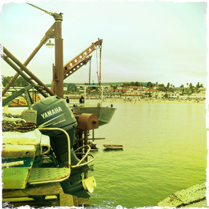 Hip 335564835.137752