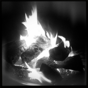 Hip 335590813.103308