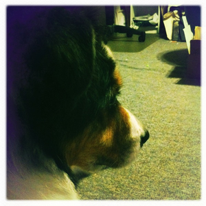 Hip 335591668.233832