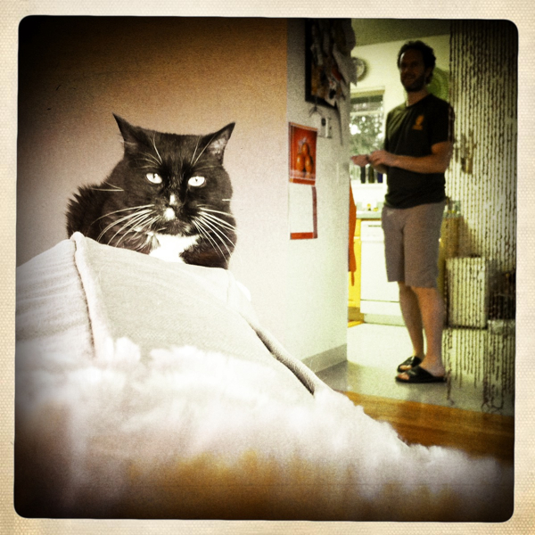 Hip 335155197.265770