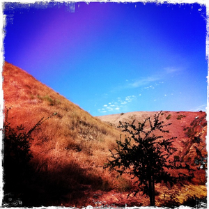 Hip 335581469.189302