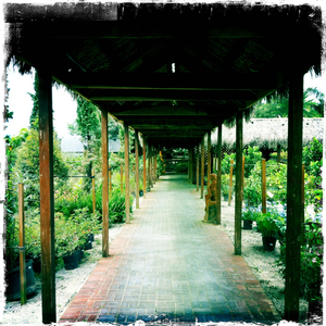 Hip 335560585.329802