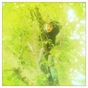 Hip 331364042.617801