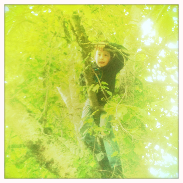 Hip 331364042.617801