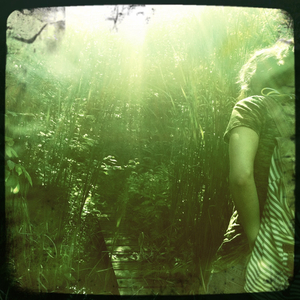 Hip 335565546.270180