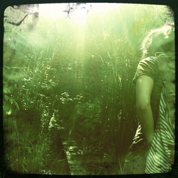 Hip 335565546.270180