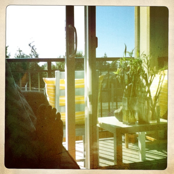 Hip 335575718.665780