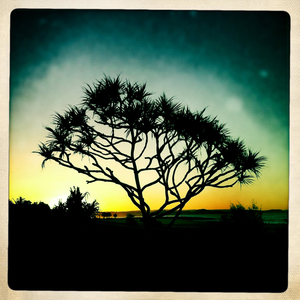 Hip 335344650.189096