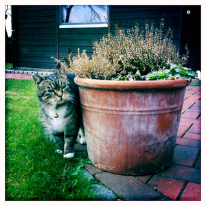 Hip 321897580.006931