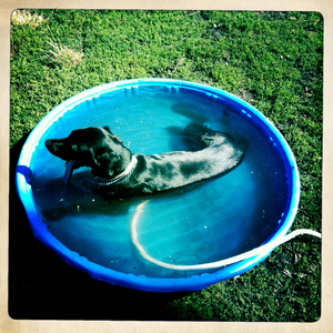 Hip 335555735.323148