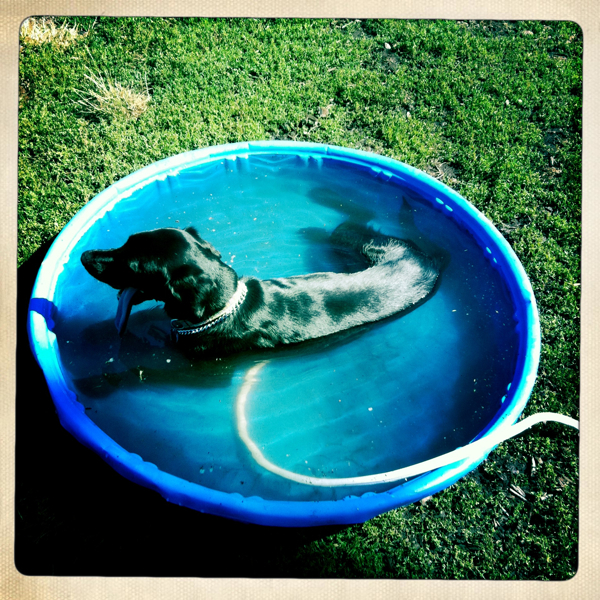 Hip 335555735.323148