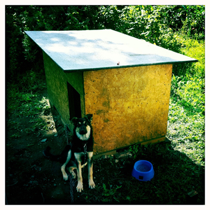 Hip 335598185.839831