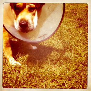 Hip 335380808.257937