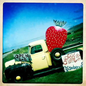 Hip 333226531.208692