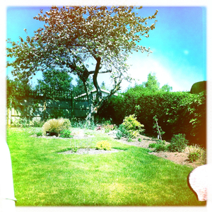 Hip 325243906.827621