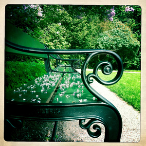 Hip 329213053.670263