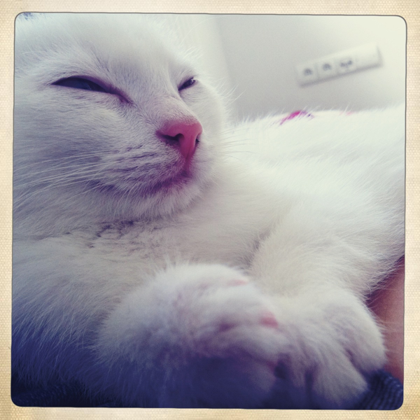 Hip 335532360.976209