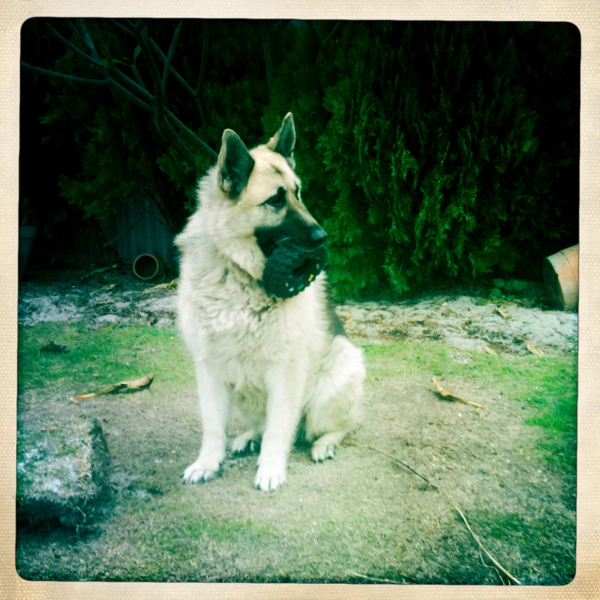 Hip 335604560.355726