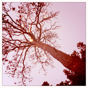 Hip 335583560.310544