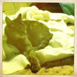 Hip 335605439.646662