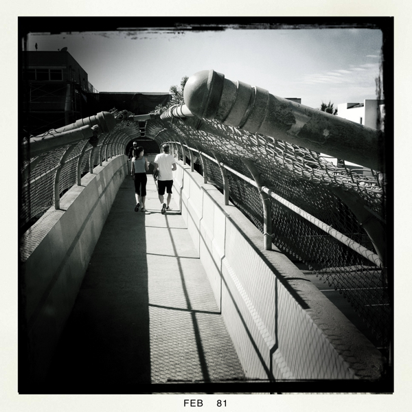 Hip 319318504.594030