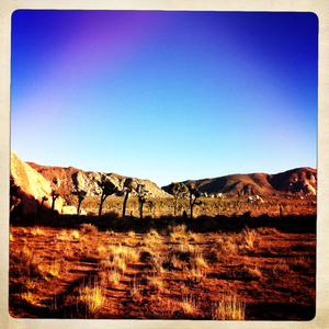 Hip 318299119.118712